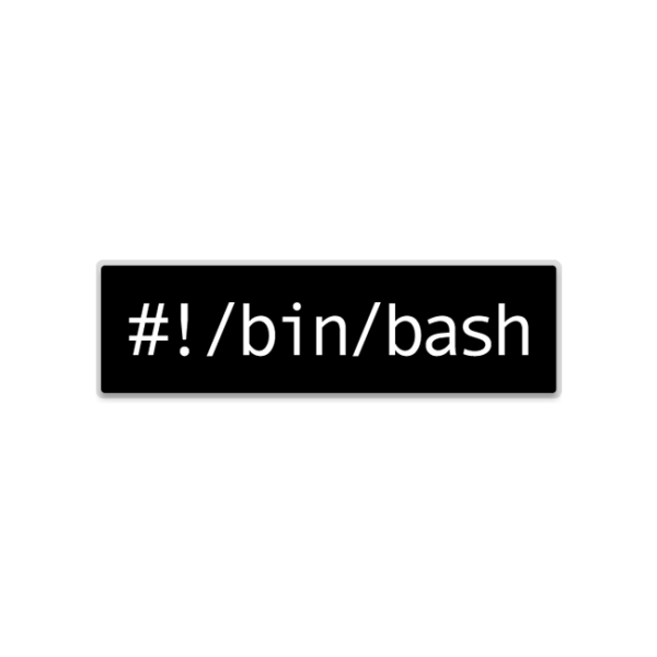 bin bash edit file